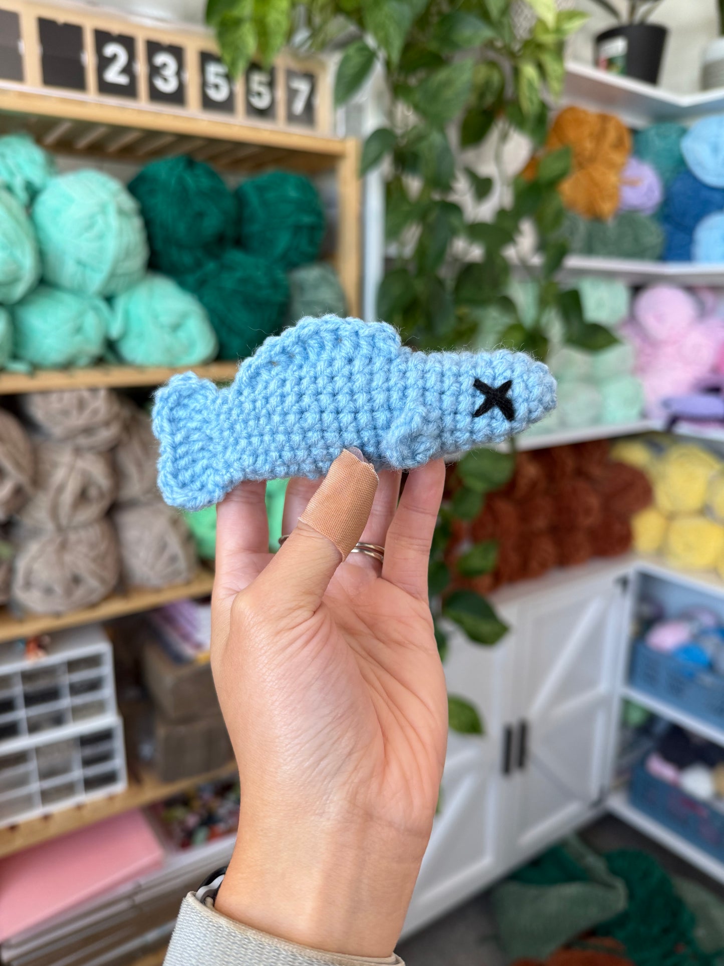 No Sew Cindy the Candy Fish Pattern