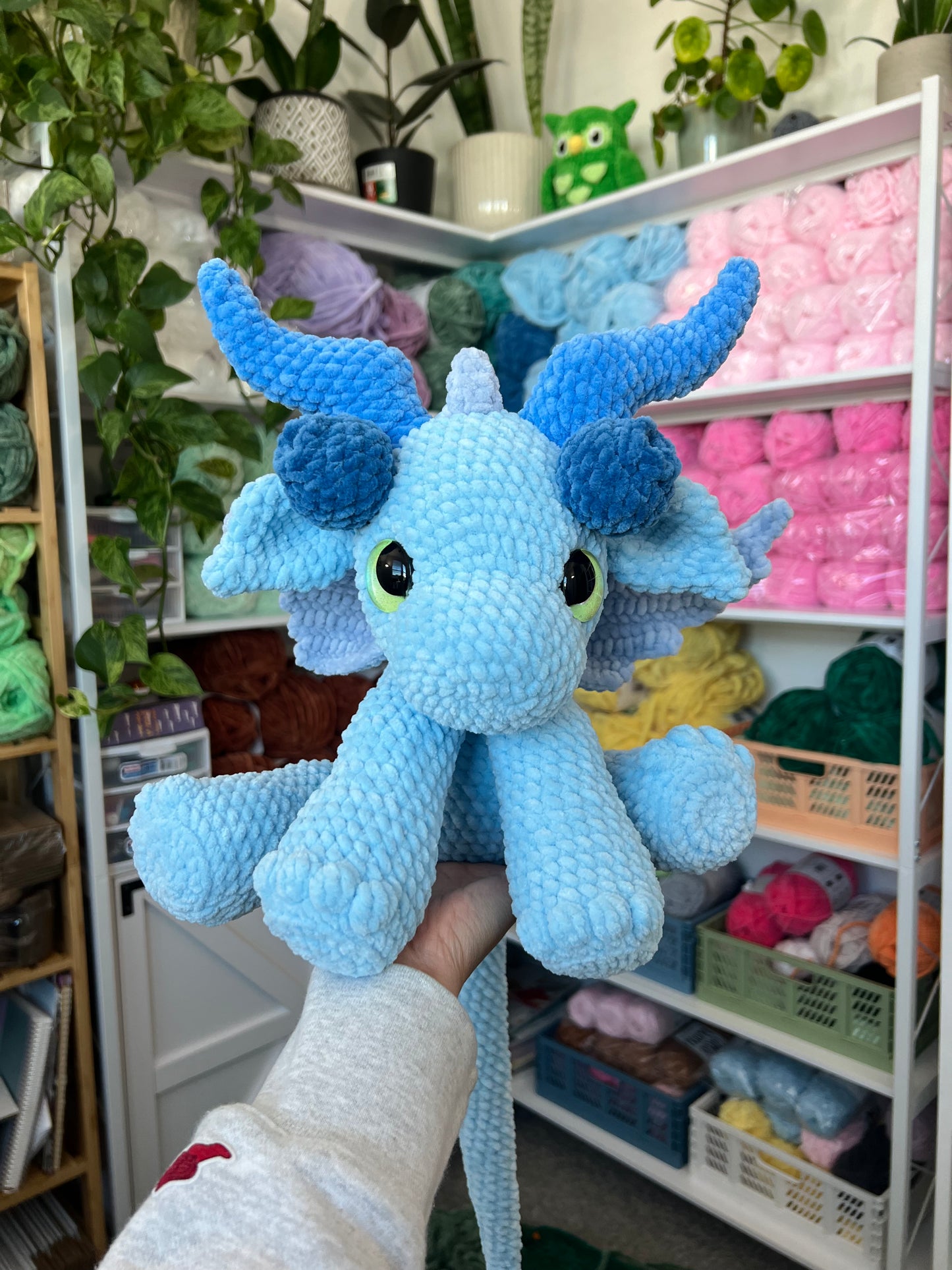 Blueberry Dragon