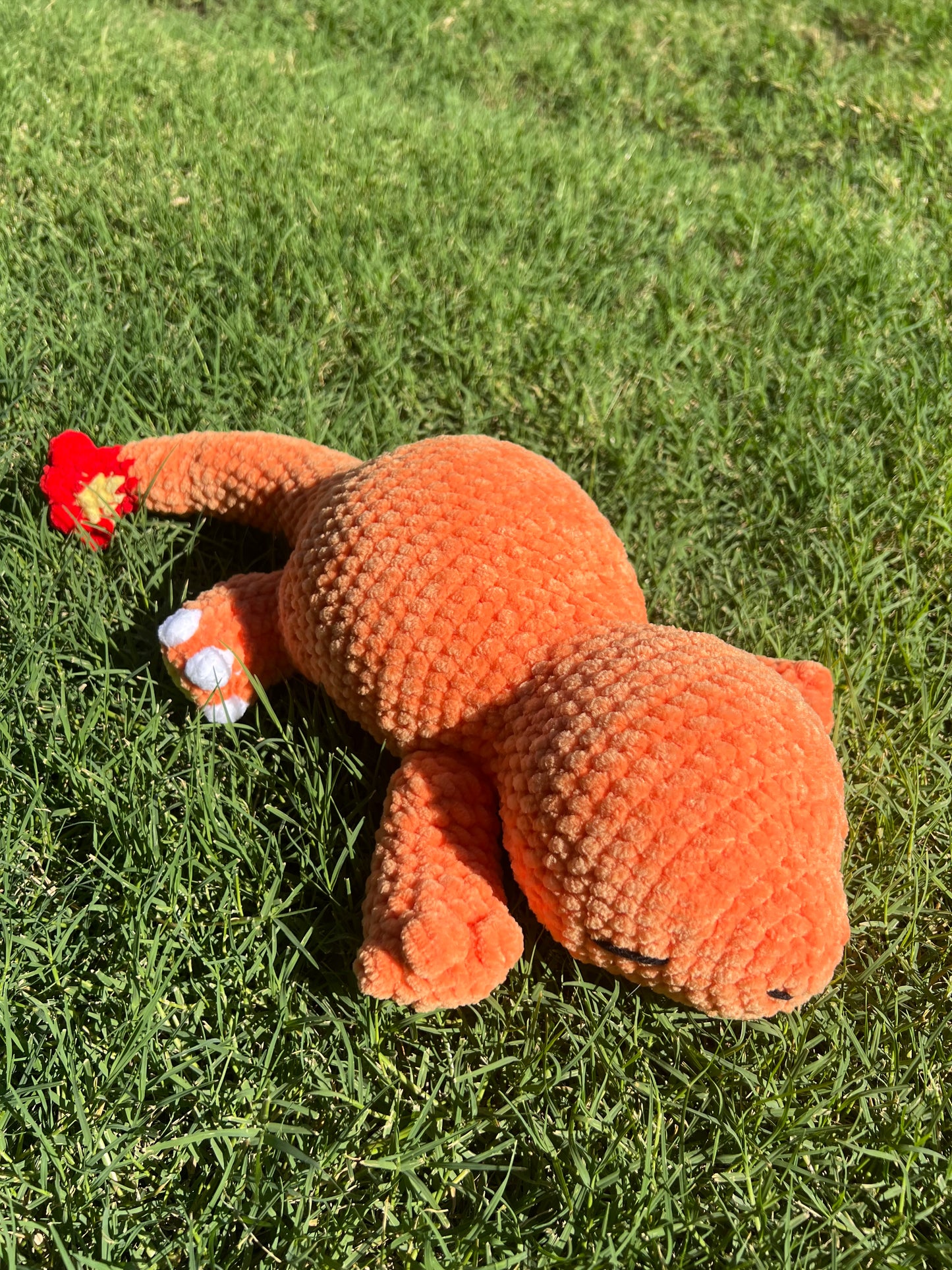 Sleeping Charmander Pokemon