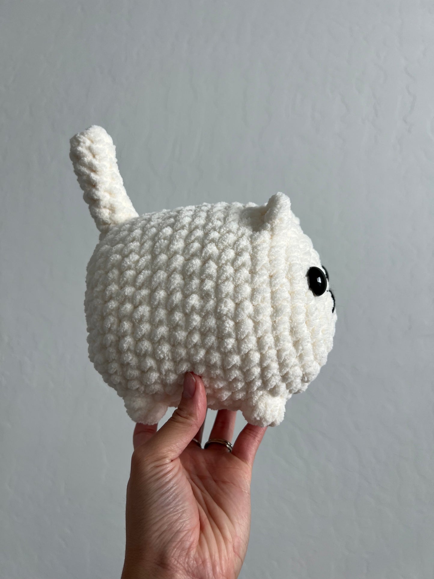 Vanilla Pudding - Loaf Cat