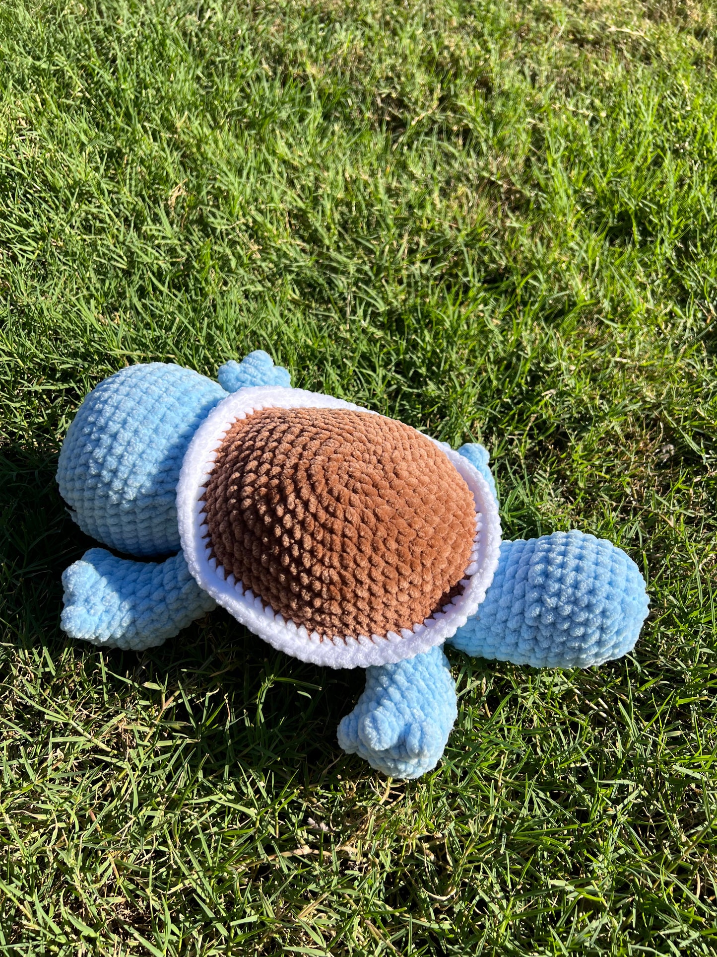 Sleeping Squirtle Pokemon