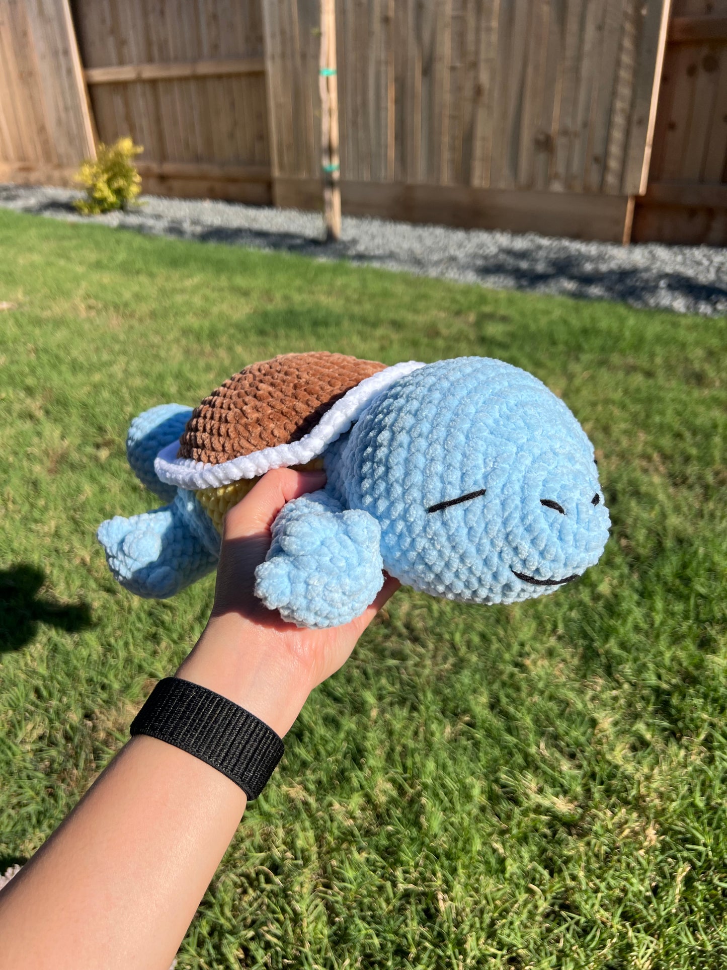 Sleeping Squirtle Pokemon