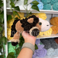 Mini Floppy Horse Crochet Pattern