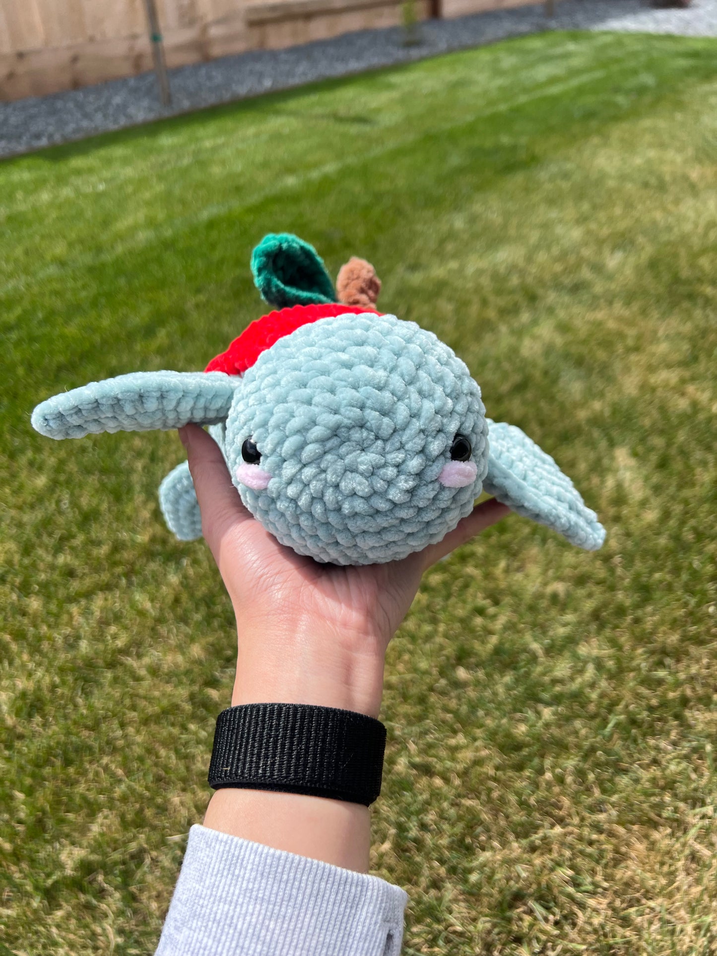 Crochet Apple Turtle Pattern