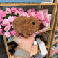 Mini Wombat Plushie