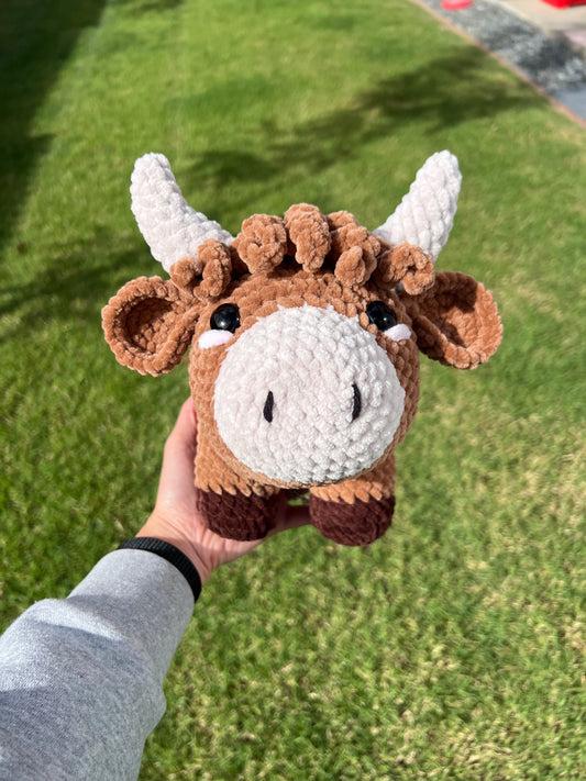 Large Highland Cow