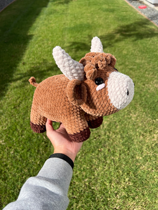 Large Highland Cow