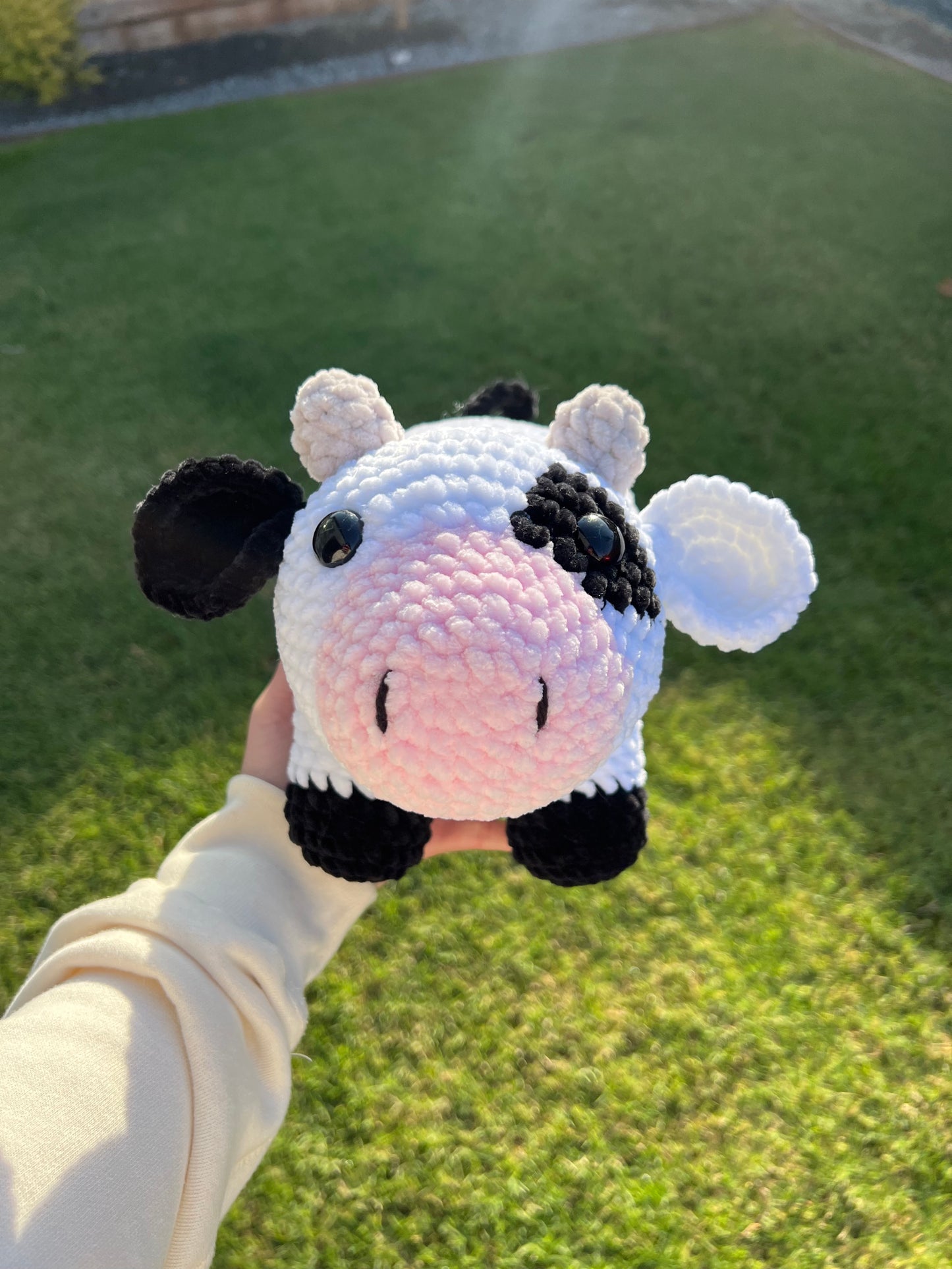 Large Dairy Cow