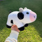 Large Dairy Cow