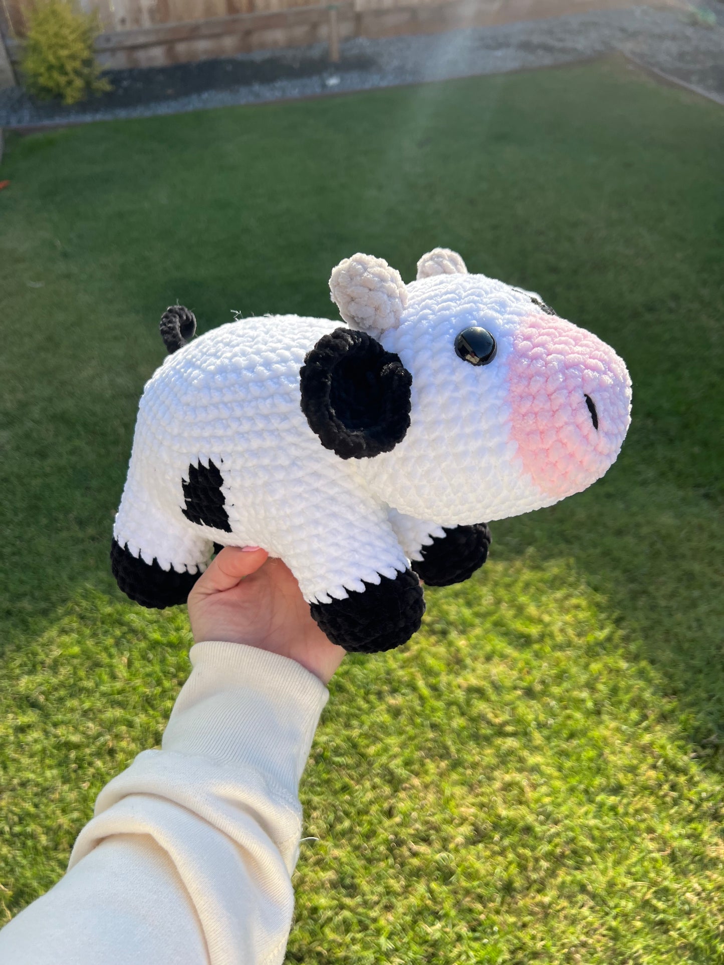 Large Dairy Cow