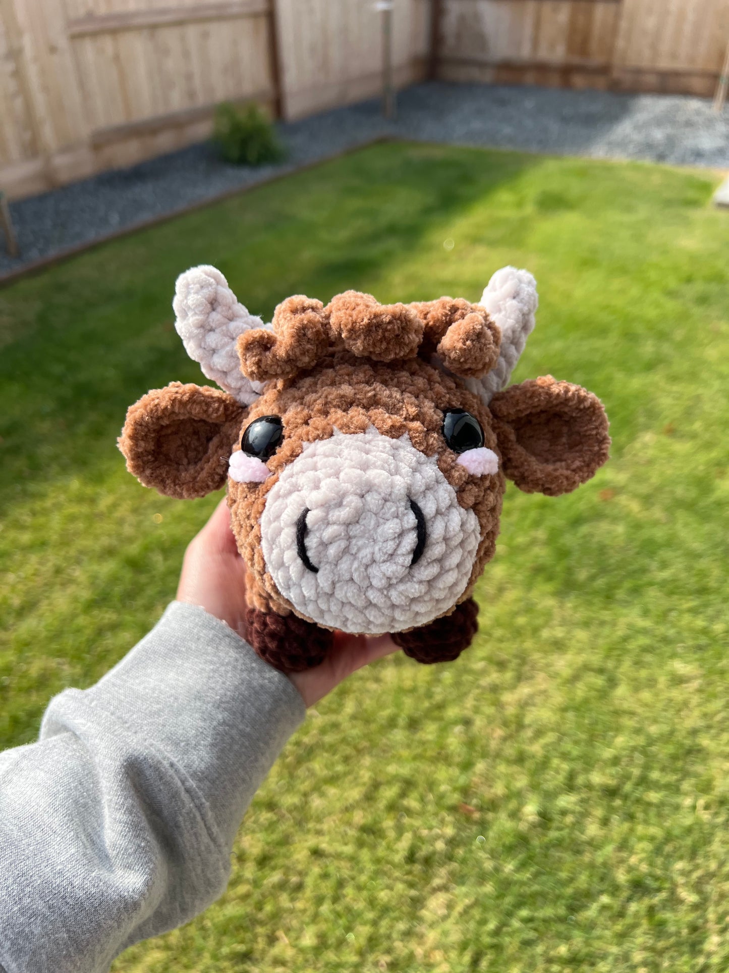 Mini Highland Cow