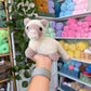 Standing Fuzzy Ferret Plushie