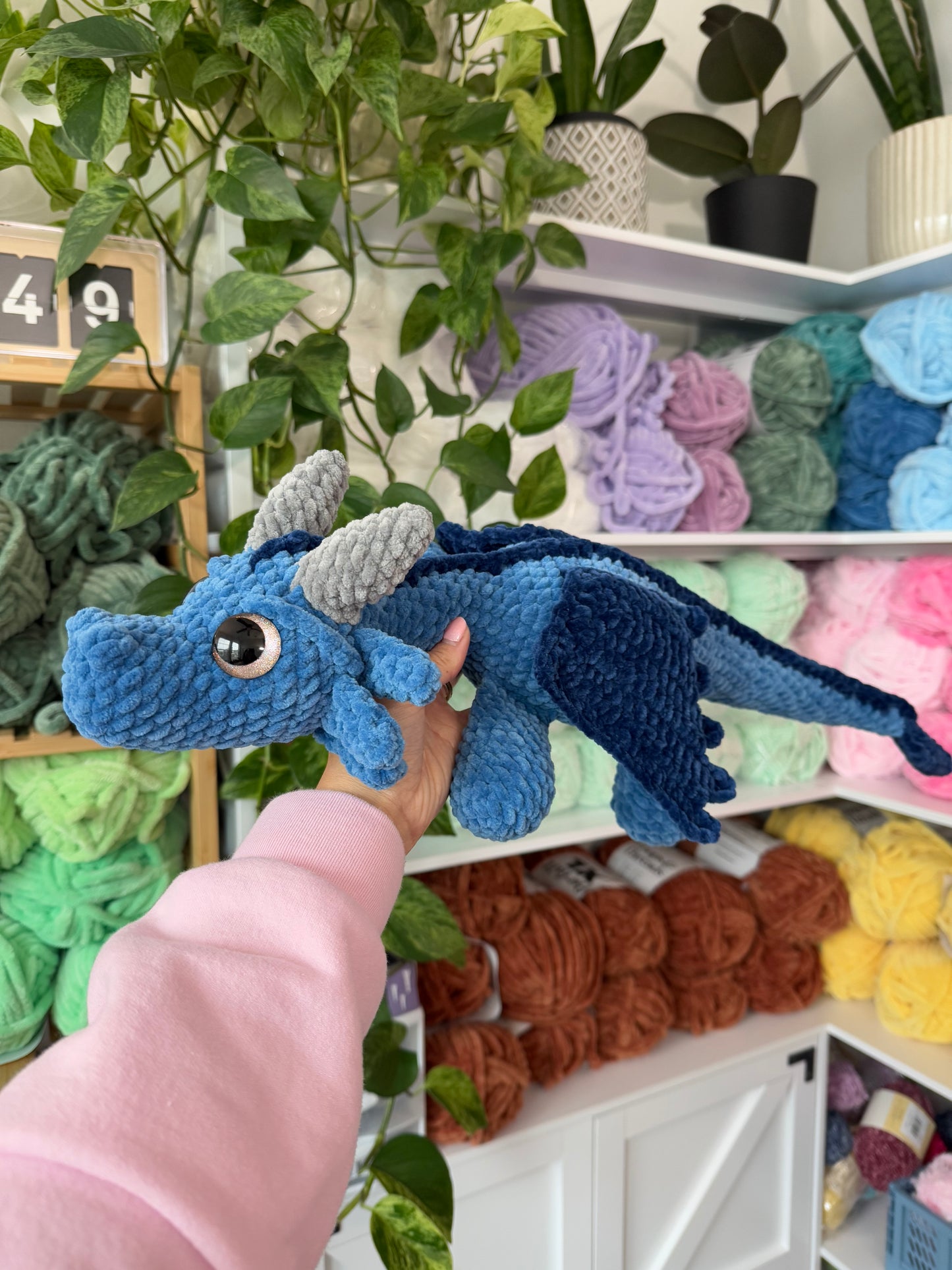 Sage the Dragon