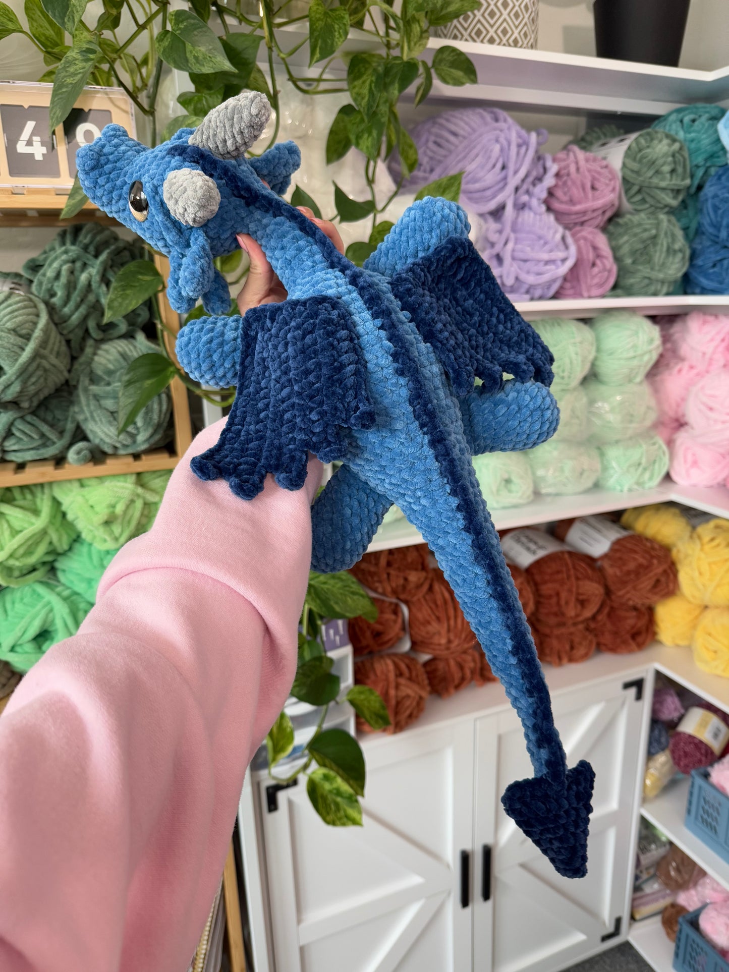 Sage the Dragon