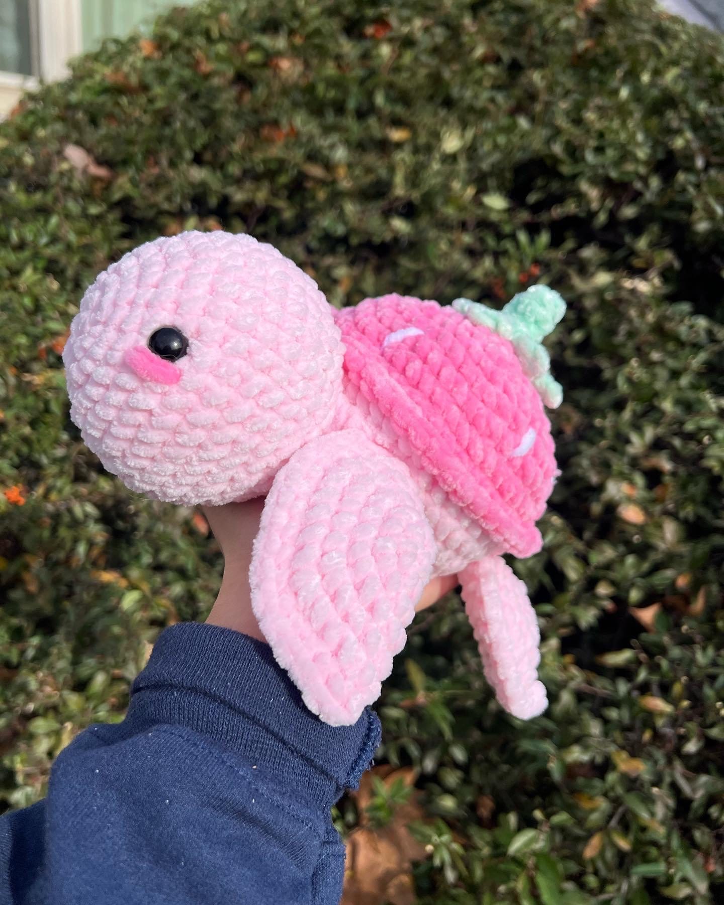 Strawberry Turtle Crochet Pattern