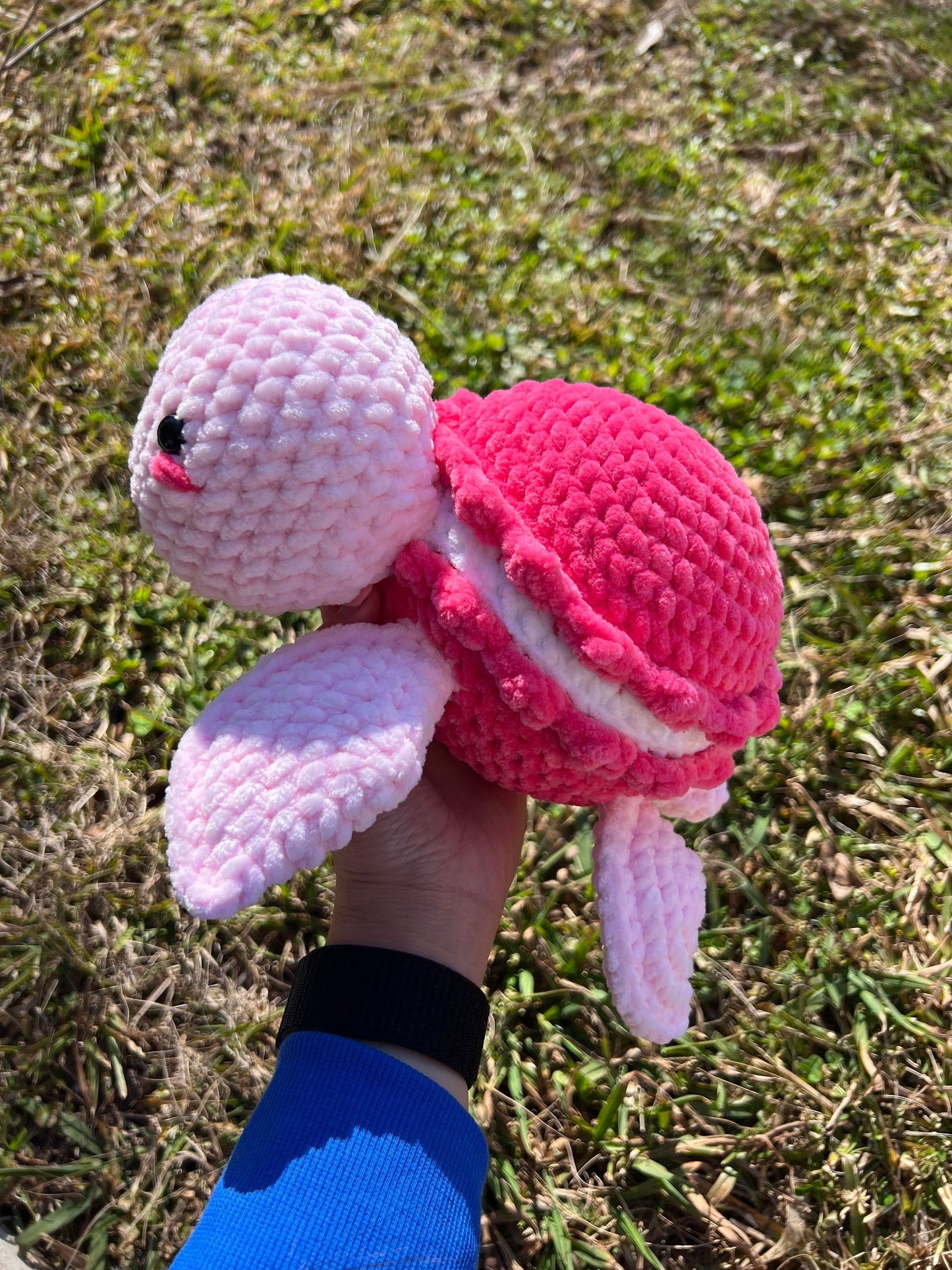 Regular Size Macaron Turtle Crochet Pattern